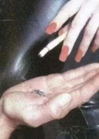 失调甜（姐弟骨，高H）